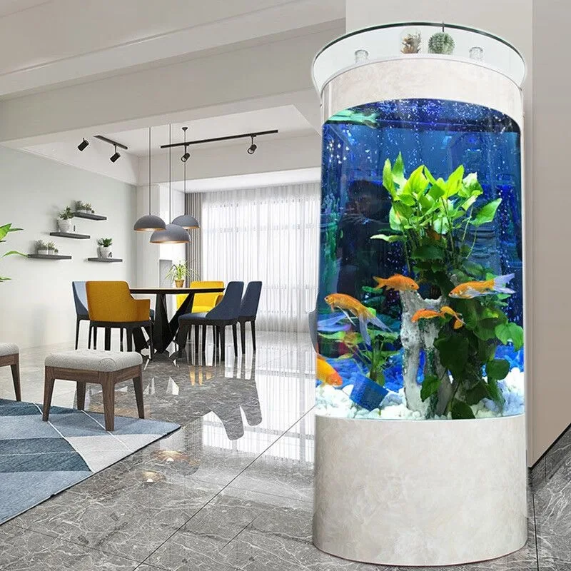 DSA light luxury semi-circular fish tank living room small household floor goldfish tank ecological water-free glass aquarium
DSA light luxury semi-circular fish tank living room small household floor goldfish tank ecological water-free glass aquarium