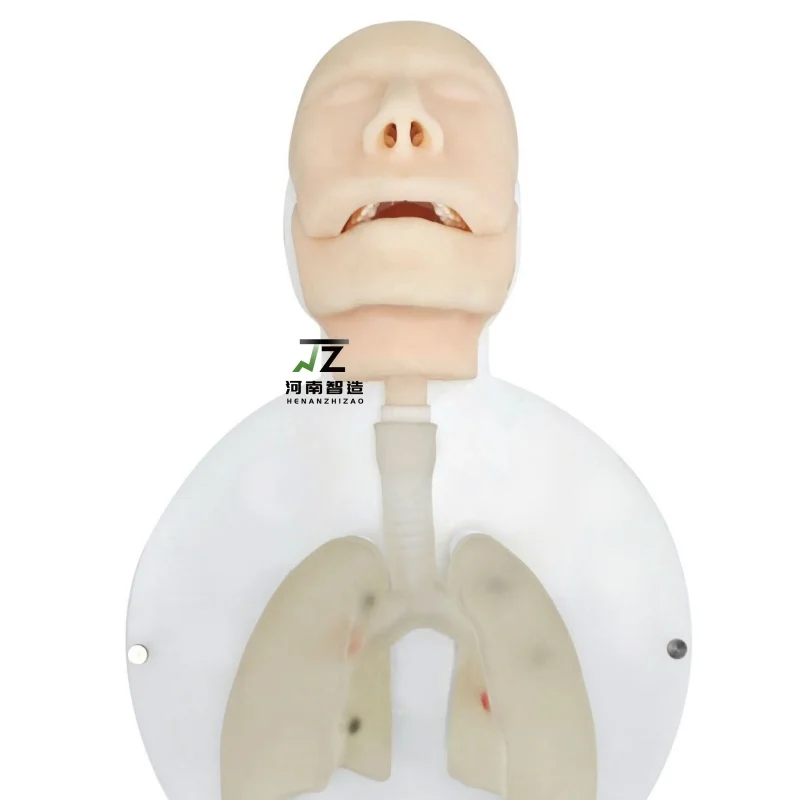 Уникальная прямая продажа ультразвукового бронхоскопа EBUS-TBNA, тренировочная мембрана для тела и модель для эндоскопа
Уникальная прямая продажа ультразвукового бронхоскопа EBUS-TBNA, тренировочная мембрана для тела и модель для эндоскопа