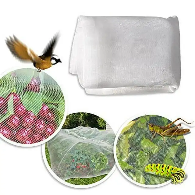 Sunrise Outdoor Garden Multi Sizes, Mosquito, Bug Insect, Bird Blocking Net, White 10' x 20'
Sunrise Outdoor Garden Multi Sizes, Mosquito, Bug Insect, Bird Blocking Net, White 10' x 20'