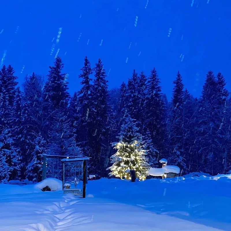 GEPRC SPEEDX2 3110 Motor - 900KV 6S LIPO for 7-10 Inch Long Range FPV X8 RC DIY Models
GEPRC SPEEDX2 3110 Motor - 900KV 6S LIPO for 7-10 Inch Long Range FPV X8 RC DIY Models