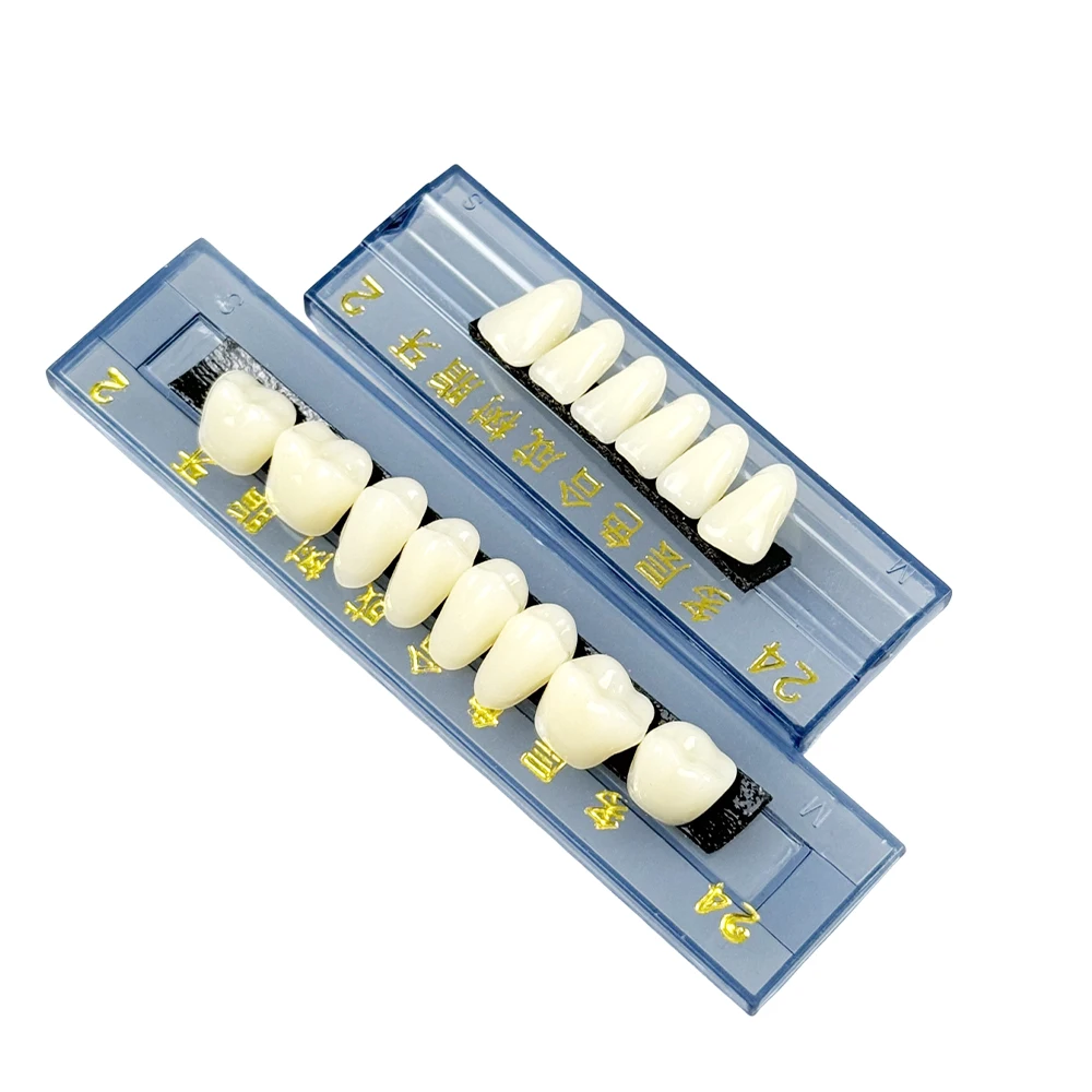 168Pcs/Box Dental Teeth Anterior Posterior Polymer Denture acrylic Tooth A2 2 Layers Teeth Upper and Lower Model for Replacement
168Pcs/Box Dental Teeth Anterior Posterior Polymer Denture acrylic Tooth A2 2 Layers Teeth Upper and Lower Model for Replacement
