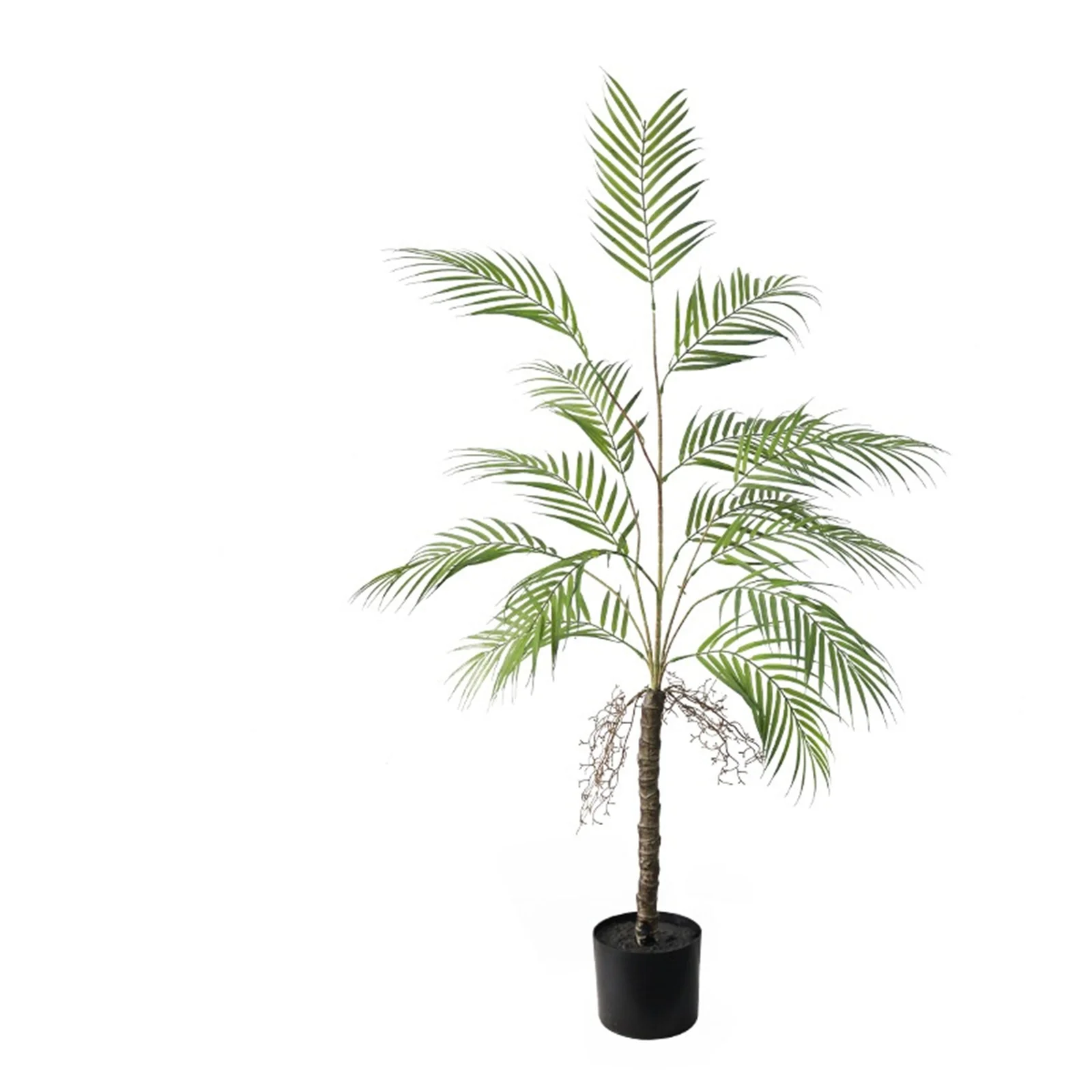 Artificial Palm Tree, Tropical Palm Tree Indoor Decorative Floor Plant in Plastic Pot for Home Office Living Room Corner Patio
Artificial Palm Tree, Tropical Palm Tree Indoor Decorative Floor Plant in Plastic Pot for Home Office Living Room Corner Patio