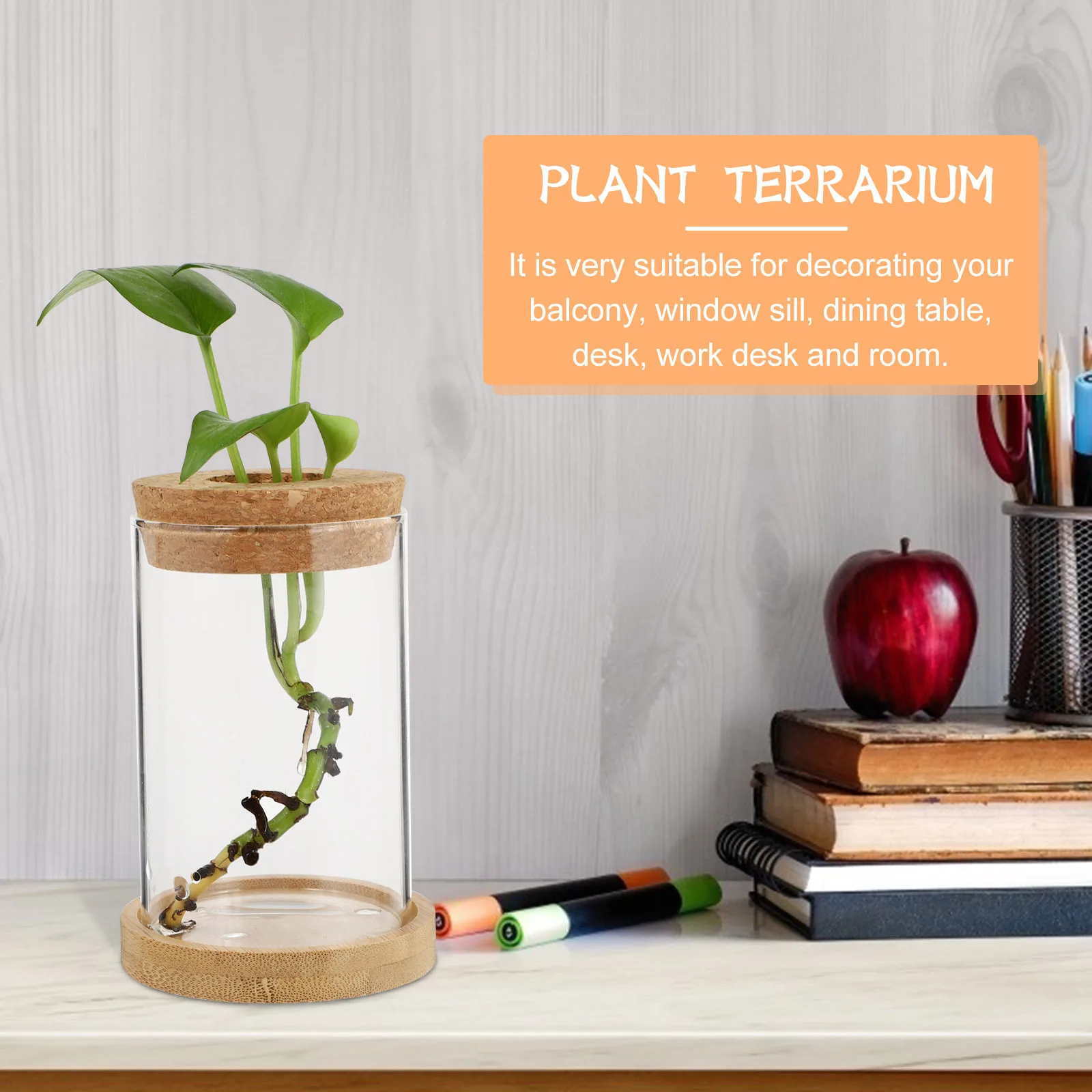 2Pcs Glass Ecological Bottle High-Quality Wood Base Space Saving Desktop Vase for Hydroponics Plants Terrarium Home Decoration
2Pcs Glass Ecological Bottle High-Quality Wood Base Space Saving Desktop Vase for Hydroponics Plants Terrarium Home Decoration