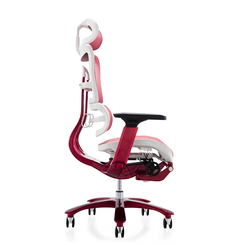 Executive Ergonomic Office Chair With Back Support and Sliding Seating for Back Pain for Big and Tall for Long Hours
Executive Ergonomic Office Chair With Back Support and Sliding Seating for Back Pain for Big and Tall for Long Hours