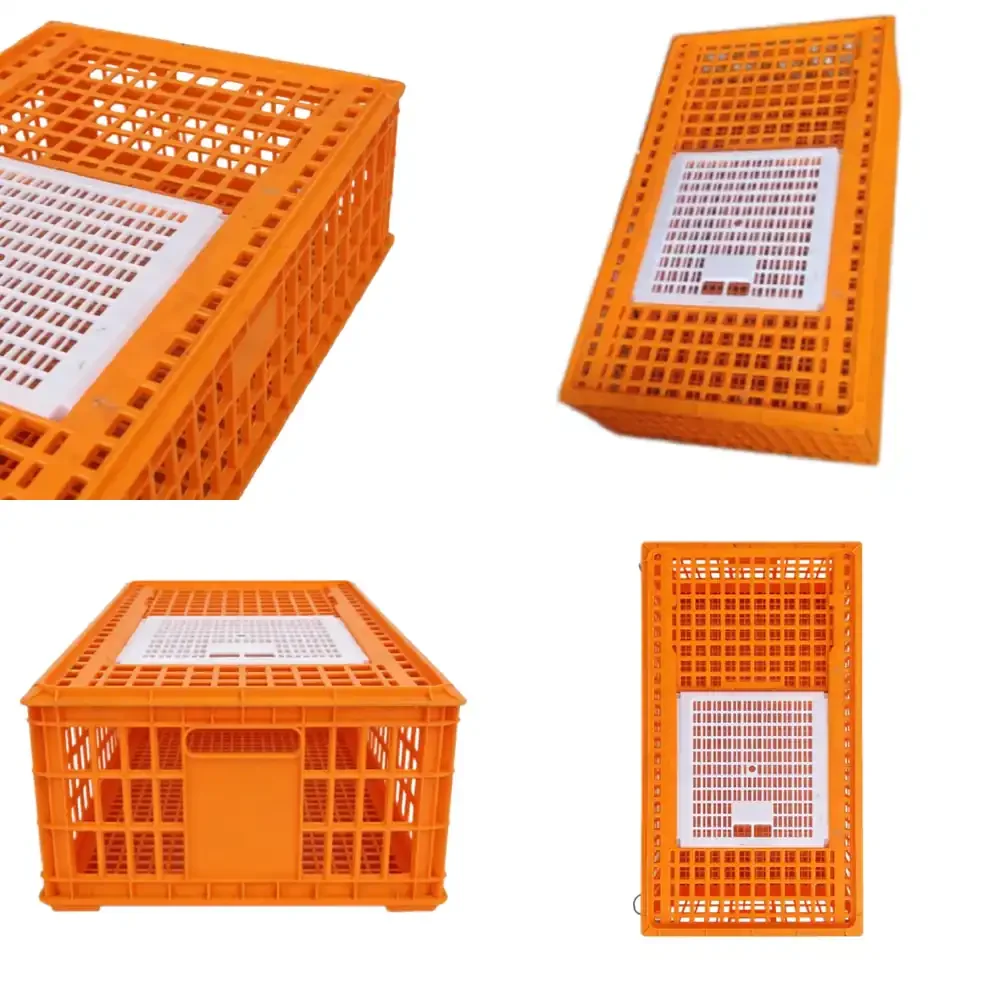 Multi Layer Plastic Chicken Cage with Lockable Lid for Efficient Livestock Handling and Transport
Multi Layer Plastic Chicken Cage with Lockable Lid for Efficient Livestock Handling and Transport