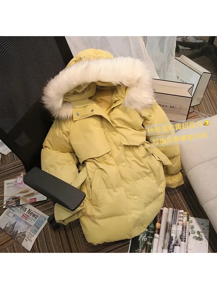 Women Winter Casual Jacket 2022 New Women Winter Thick Warm Parkas Korean Loose Cotton Coat Fur Collar Hooded Cotton Padded Coat
Women Winter Casual Jacket 2022 New Women Winter Thick Warm Parkas Korean Loose Cotton Coat Fur Collar Hooded Cotton Padded Coat