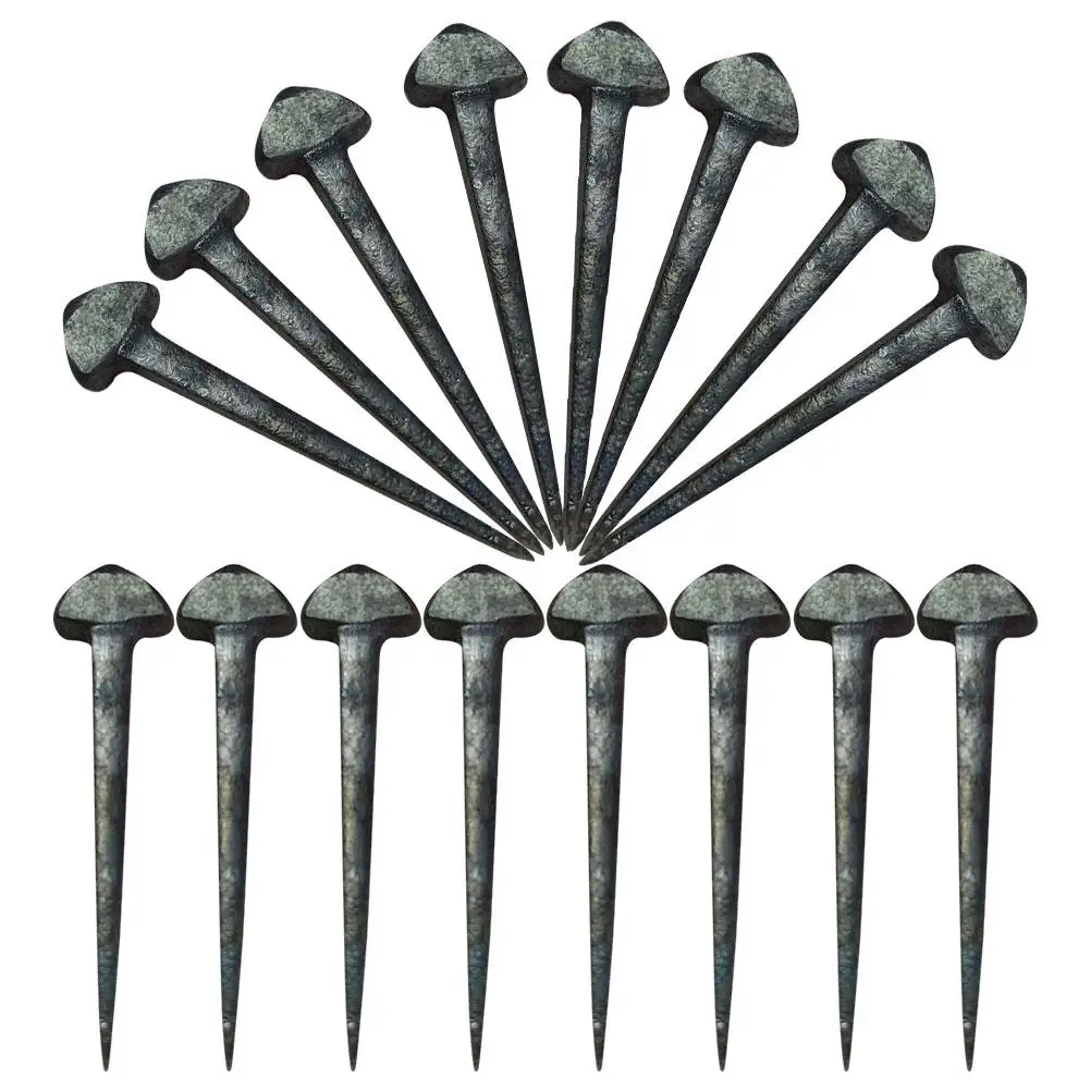 50 Pcs Horseshoe Nails Durable Wear Resistant Compact Professional Equipment Iron Hoof Replaceable Horse Accessory Sturdy Shoe
50 Pcs Horseshoe Nails Durable Wear Resistant Compact Professional Equipment Iron Hoof Replaceable Horse Accessory Sturdy Shoe