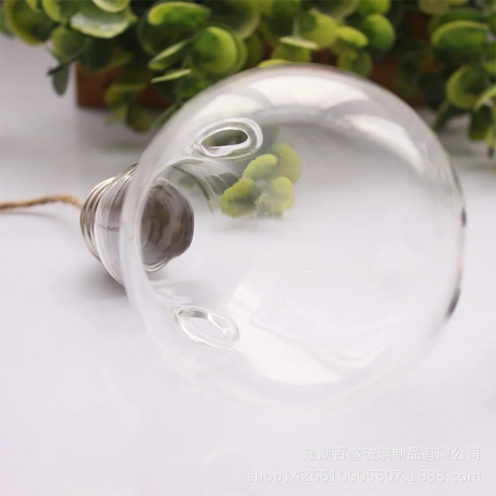 Glass Lightbulb Planter for Wall Or Window Hanging No Damage Installation Ideal for Air Plants and Water Plants 2 Holes Round
Glass Lightbulb Planter for Wall Or Window Hanging No Damage Installation Ideal for Air Plants and Water Plants 2 Holes Round