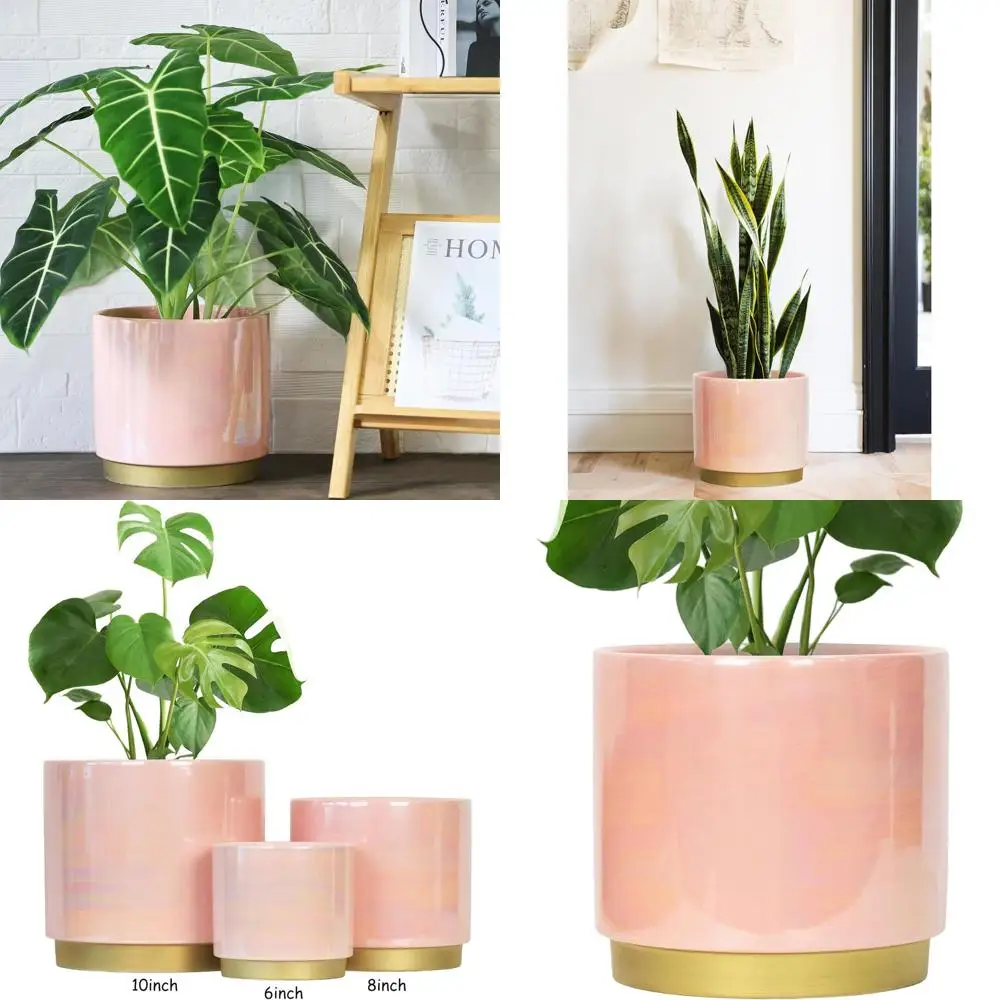 9.6-inch Large Indoor Plant Pot with Drainage, Rainbow Pearl Glazed Succulent Orchid Planter
9.6-inch Large Indoor Plant Pot with Drainage, Rainbow Pearl Glazed Succulent Orchid Planter