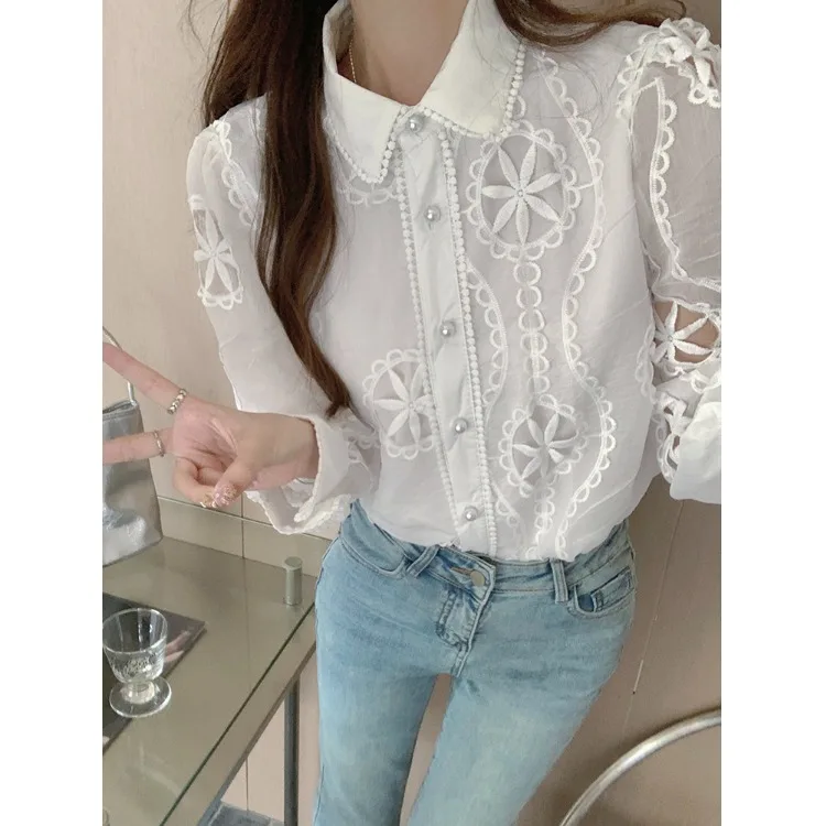 Elegant Embroidered Lace Shirt Women's Casual Slimming Top Lantern Sleeve Gentle Style Spring Summer Fashionable Casual Wear
Elegant Embroidered Lace Shirt Women's Casual Slimming Top Lantern Sleeve Gentle Style Spring Summer Fashionable Casual Wear