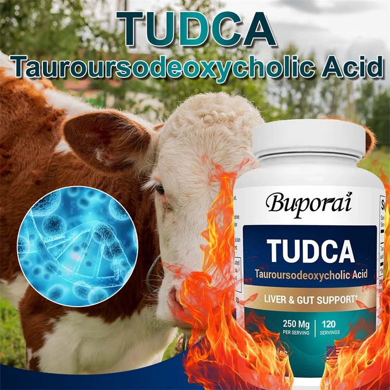 Добавка TUDCA — очищение желчного пузыря, здоровье пищеварения и повышение иммунитета, помогает детоксикацию и очищение печени.
Добавка TUDCA — очищение желчного пузыря, здоровье пищеварения и повышение иммунитета, помогает детоксикацию и очищение печени.