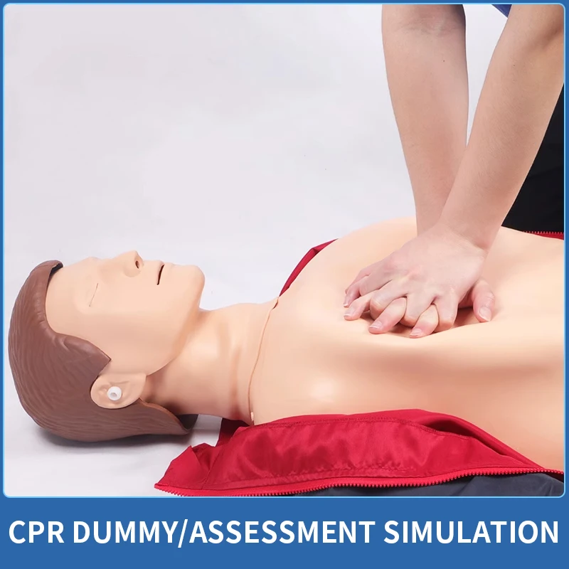 Full body CPR Simulator First Aid Training Manikin CPR Training Dummy/Mannequin Medical Teaching Model
Full body CPR Simulator First Aid Training Manikin CPR Training Dummy/Mannequin Medical Teaching Model