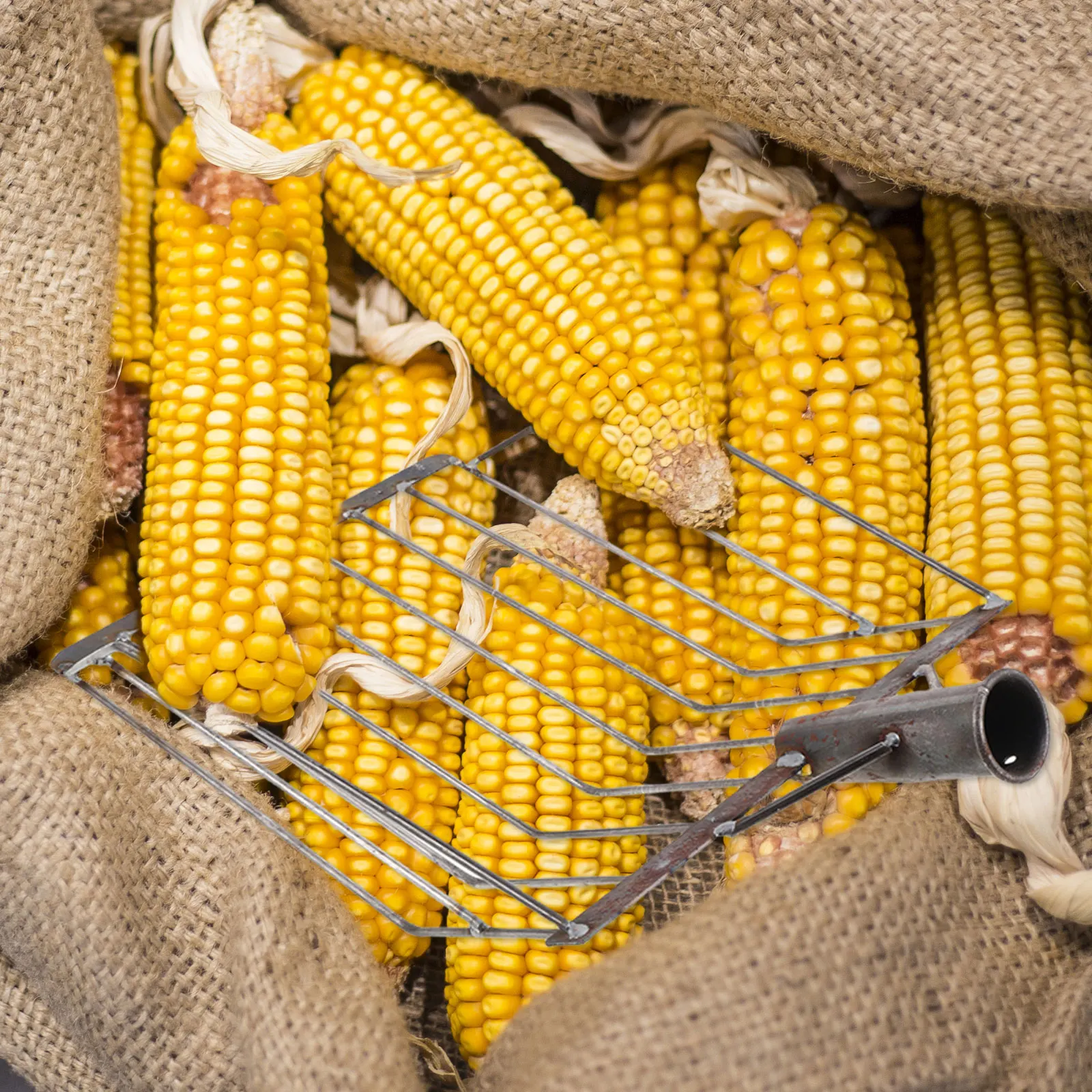 Corn Shovel Heavy Duty Maize Harvesting Tool For Farm Garden Efficient Grain Scoop Portable Metal Sifting Pan Agricultural
Corn Shovel Heavy Duty Maize Harvesting Tool For Farm Garden Efficient Grain Scoop Portable Metal Sifting Pan Agricultural