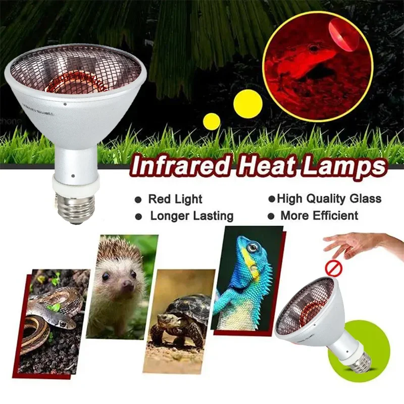 Amphibians and Reptiles Heat Bulb E27 Lizard Reptiles Lamps Amphibious Anti-Scalding Lampshade Lizard Turtle Snake Heater
Amphibians and Reptiles Heat Bulb E27 Lizard Reptiles Lamps Amphibious Anti-Scalding Lampshade Lizard Turtle Snake Heater