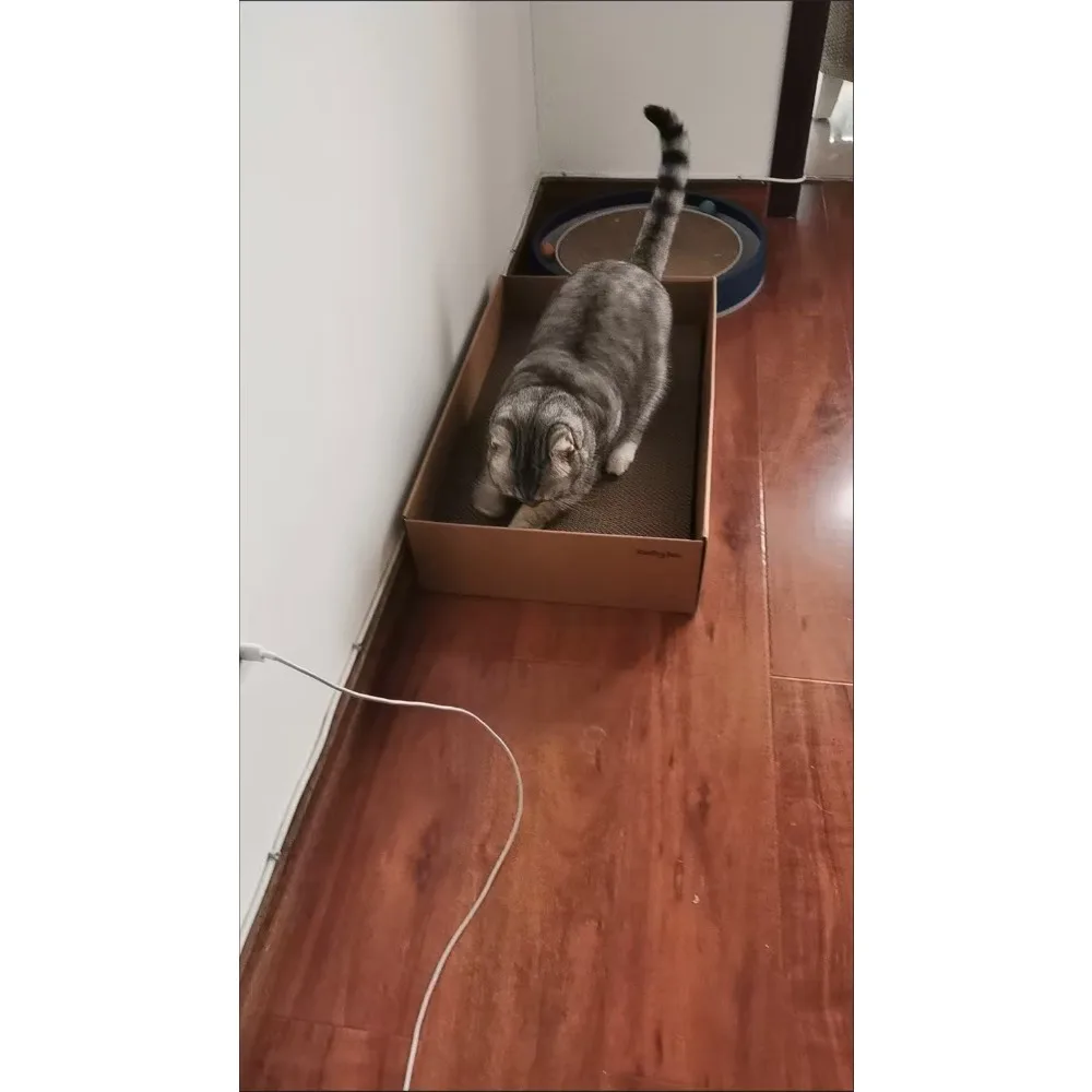jelly cat Cardboard Cat Scratchers Grinding Claws Make Grinding Claws More Interesting Box Cat Scratcher Pad Can Replacement
jelly cat Cardboard Cat Scratchers Grinding Claws Make Grinding Claws More Interesting Box Cat Scratcher Pad Can Replacement