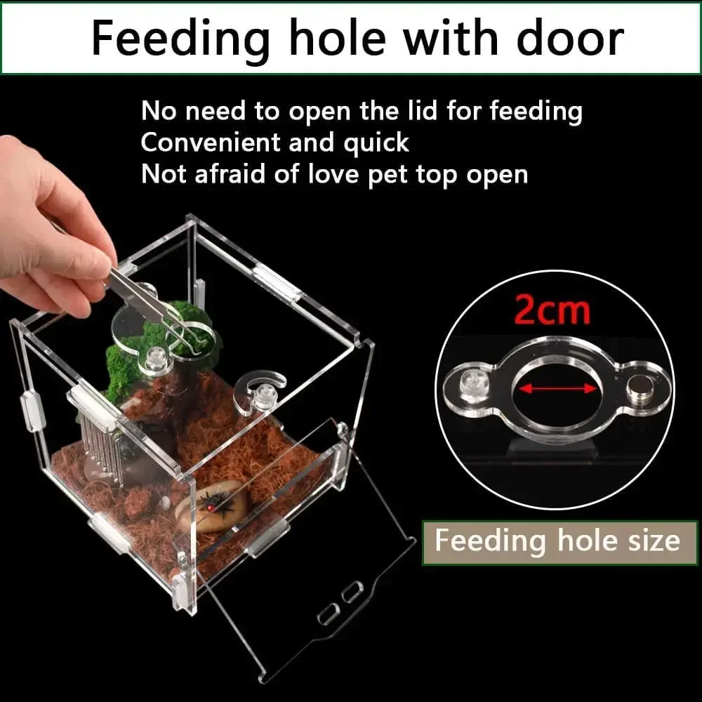 Acrylic Amphibian Breeding Boxes Jumping Spider Enclosure Feeding Box Reptile Terrarium for Tarantula Snail Small Insect Habitat
Acrylic Amphibian Breeding Boxes Jumping Spider Enclosure Feeding Box Reptile Terrarium for Tarantula Snail Small Insect Habitat
