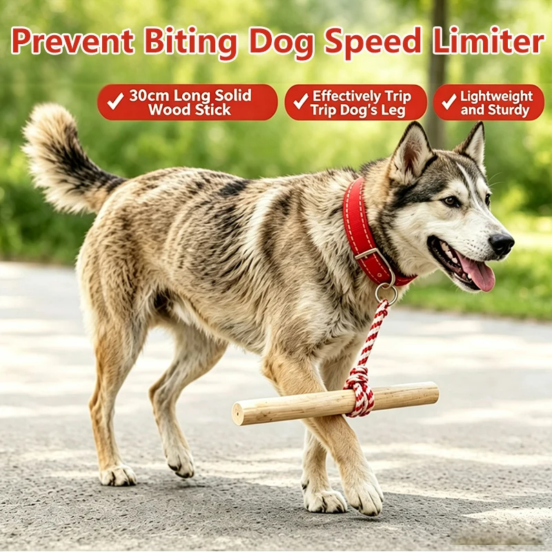 Dog Speed Limit Stick Collar Prevent Chasing Biting Humane Dog Walking Artifact Behavior Corrector For Small Medium Large Dog
Dog Speed Limit Stick Collar Prevent Chasing Biting Humane Dog Walking Artifact Behavior Corrector For Small Medium Large Dog