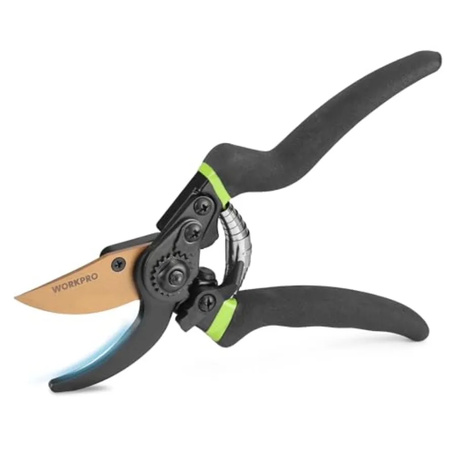 8.5" Bypass Pruning Shears, Die-cast Aluminum Handle, Garden Shears with Sharp SK5 Blade, Garden Clippers, Hand Pruner for Bran
8.5" Bypass Pruning Shears, Die-cast Aluminum Handle, Garden Shears with Sharp SK5 Blade, Garden Clippers, Hand Pruner for Bran