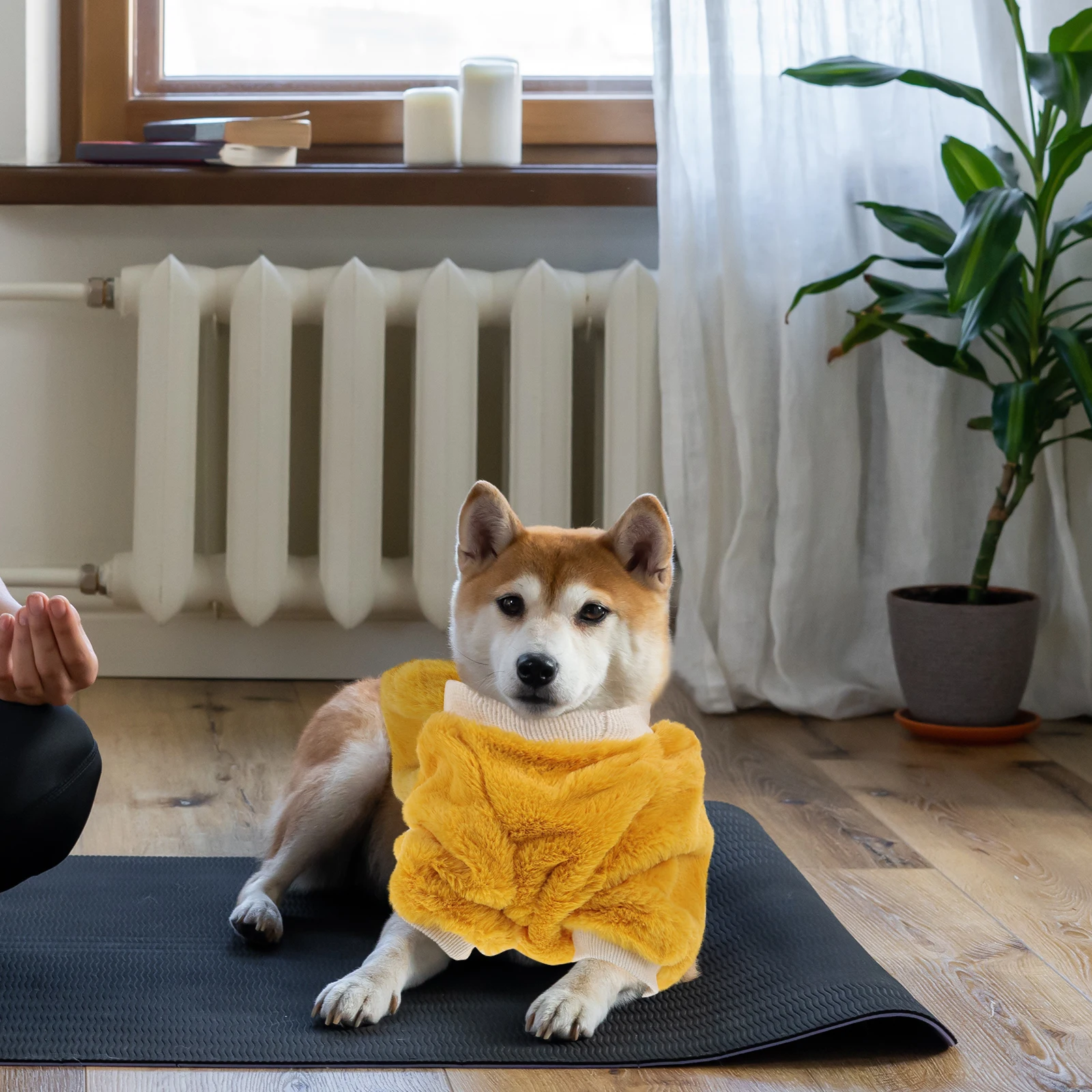 Pet Clothing Dog Decorative Clothes High Quality Material Comfortable Breathable Girls Boys Winter Coat Apparel Vest
Pet Clothing Dog Decorative Clothes High Quality Material Comfortable Breathable Girls Boys Winter Coat Apparel Vest