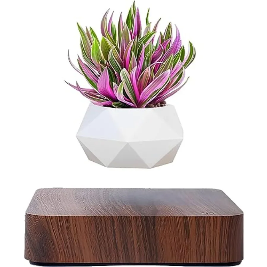 Levitating Air Bonsai PotCool Stuff Rotation Flower Pot Planters Potted Plant Home Desk Decor in Flower Pots Planters from Home
Levitating Air Bonsai PotCool Stuff Rotation Flower Pot Planters Potted Plant Home Desk Decor in Flower Pots Planters from Home