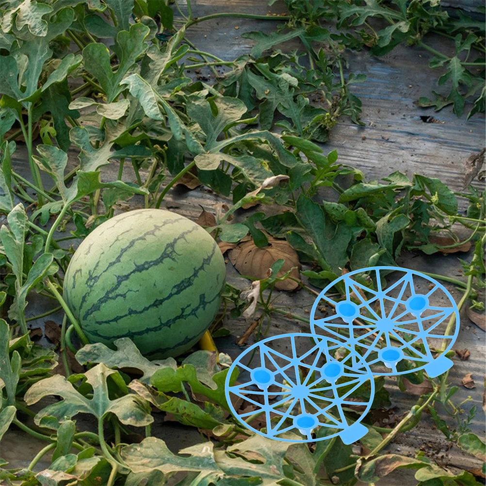 10pcs Holder Pumpkin Holder Stand Stand Garden Plant Support Melon Cradle Pumpkin Frame Reusable Plastic Fruit Growing
10pcs Holder Pumpkin Holder Stand Stand Garden Plant Support Melon Cradle Pumpkin Frame Reusable Plastic Fruit Growing
