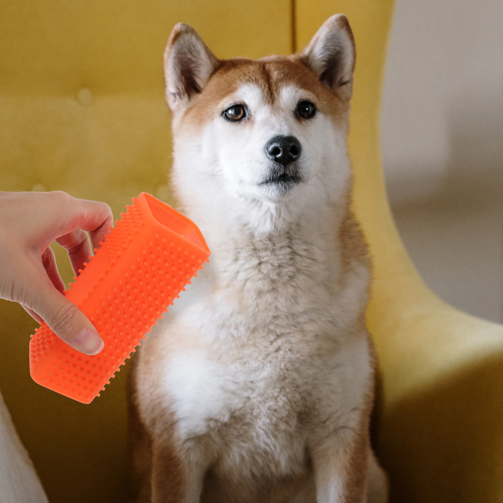 Pet hair remover Pet hair cleaner Pet hair brush Sofa pet hair cleaner Household pet hair remover
Pet hair remover Pet hair cleaner Pet hair brush Sofa pet hair cleaner Household pet hair remover
