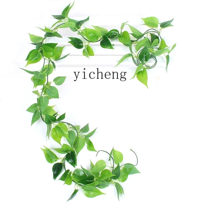 r5.20 simulated dill leaf fake flower rattan grape leaf ceiling pipe decoration
r5.20 simulated dill leaf fake flower rattan grape leaf ceiling pipe decoration