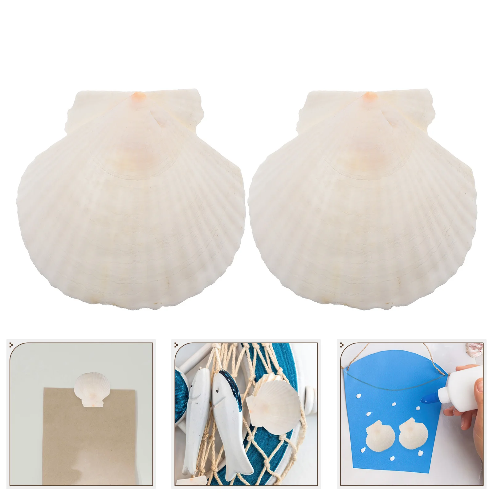 21Pcs Shell Decor Sea Shells for Crafting Natural DIY Kit Desktop Nightstand Decor Ocean Theme Handicraft Embellishment Set
21Pcs Shell Decor Sea Shells for Crafting Natural DIY Kit Desktop Nightstand Decor Ocean Theme Handicraft Embellishment Set