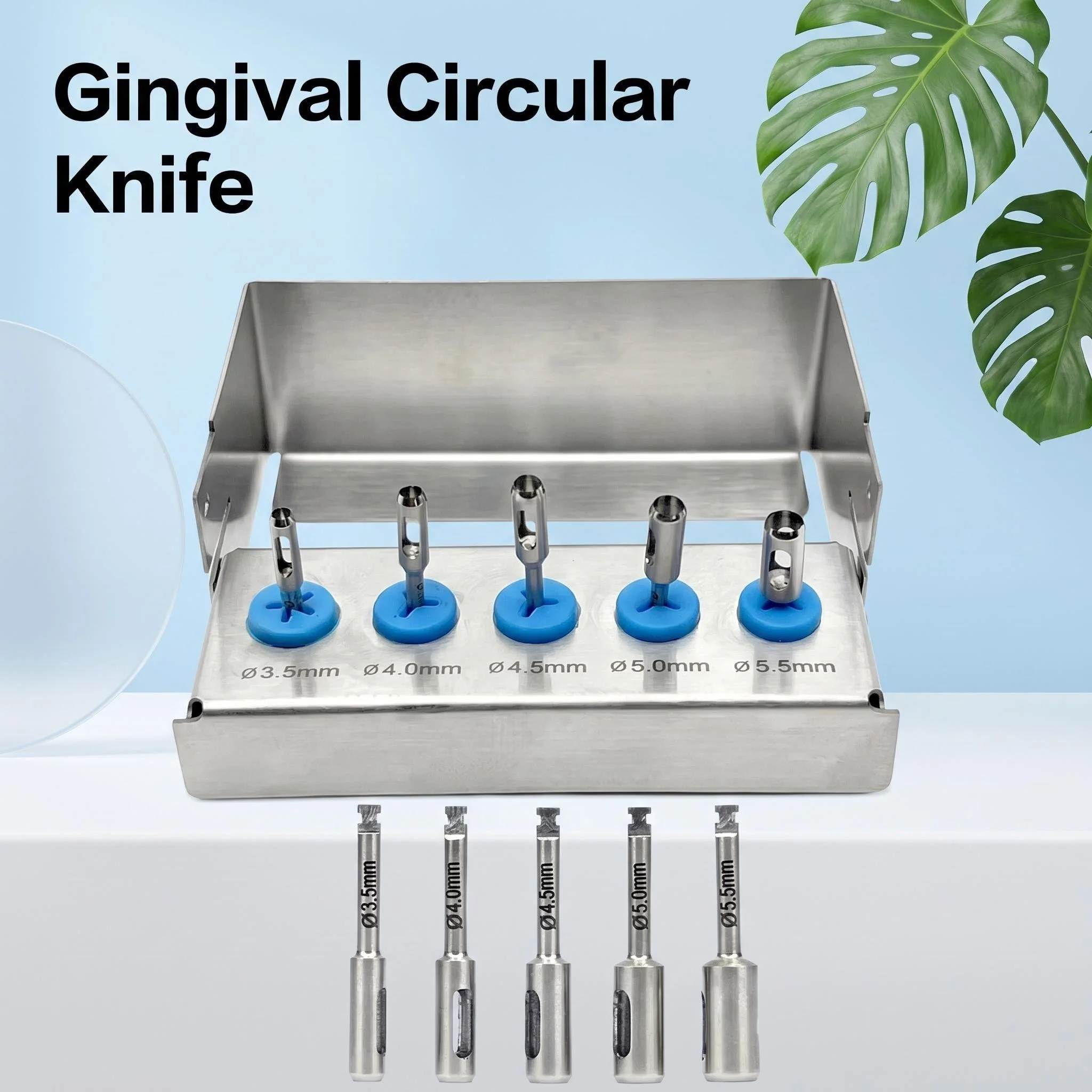 5Pcs/set Dental Implant Tissue Punch Gingival Ring Cutter Stainless Steel Dental Implant Tissue Punch Dentist Instrument Tool
5Pcs/set Dental Implant Tissue Punch Gingival Ring Cutter Stainless Steel Dental Implant Tissue Punch Dentist Instrument Tool