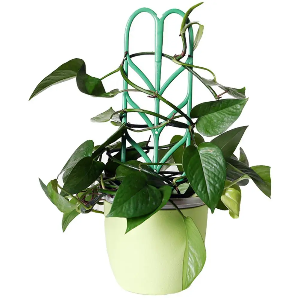 9 Pcs Flower Trellis Household Pergola Vegetable Garden Plants Climbing Support PP Material Durable Outdoor Indoor Use
9 Pcs Flower Trellis Household Pergola Vegetable Garden Plants Climbing Support PP Material Durable Outdoor Indoor Use