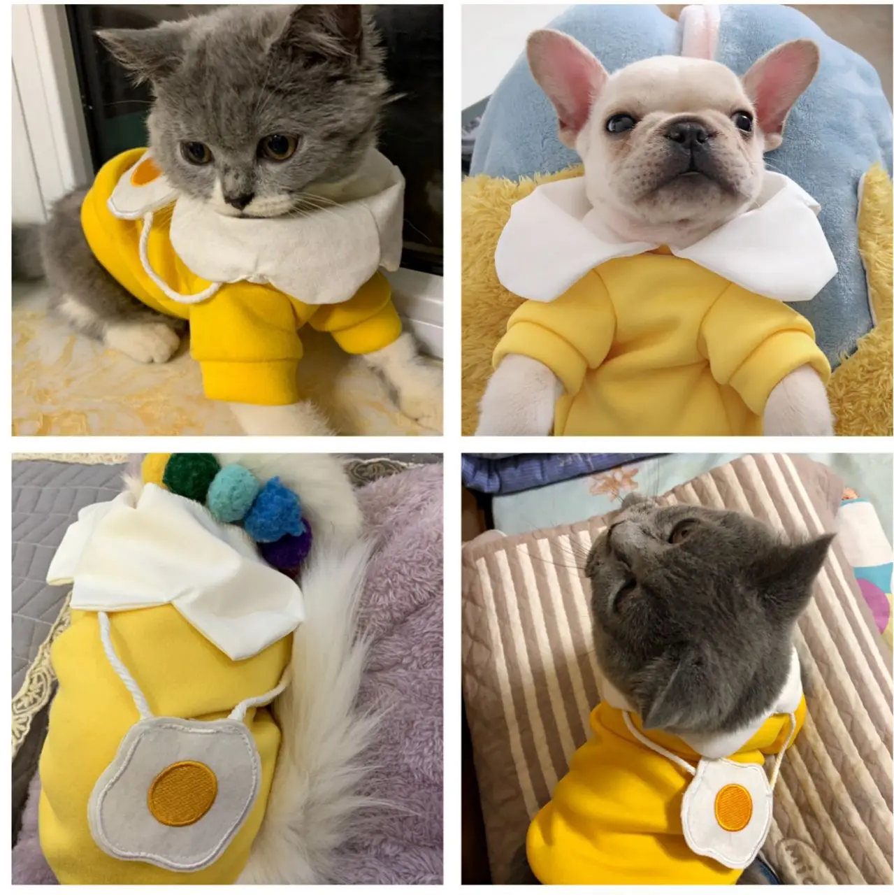 Spring Dog Shirt Small Pet Items Yellow Blouse Medium Puppy Yolk Accessories Autumn Solid Soft Clothes Costume Supplies Products
Spring Dog Shirt Small Pet Items Yellow Blouse Medium Puppy Yolk Accessories Autumn Solid Soft Clothes Costume Supplies Products