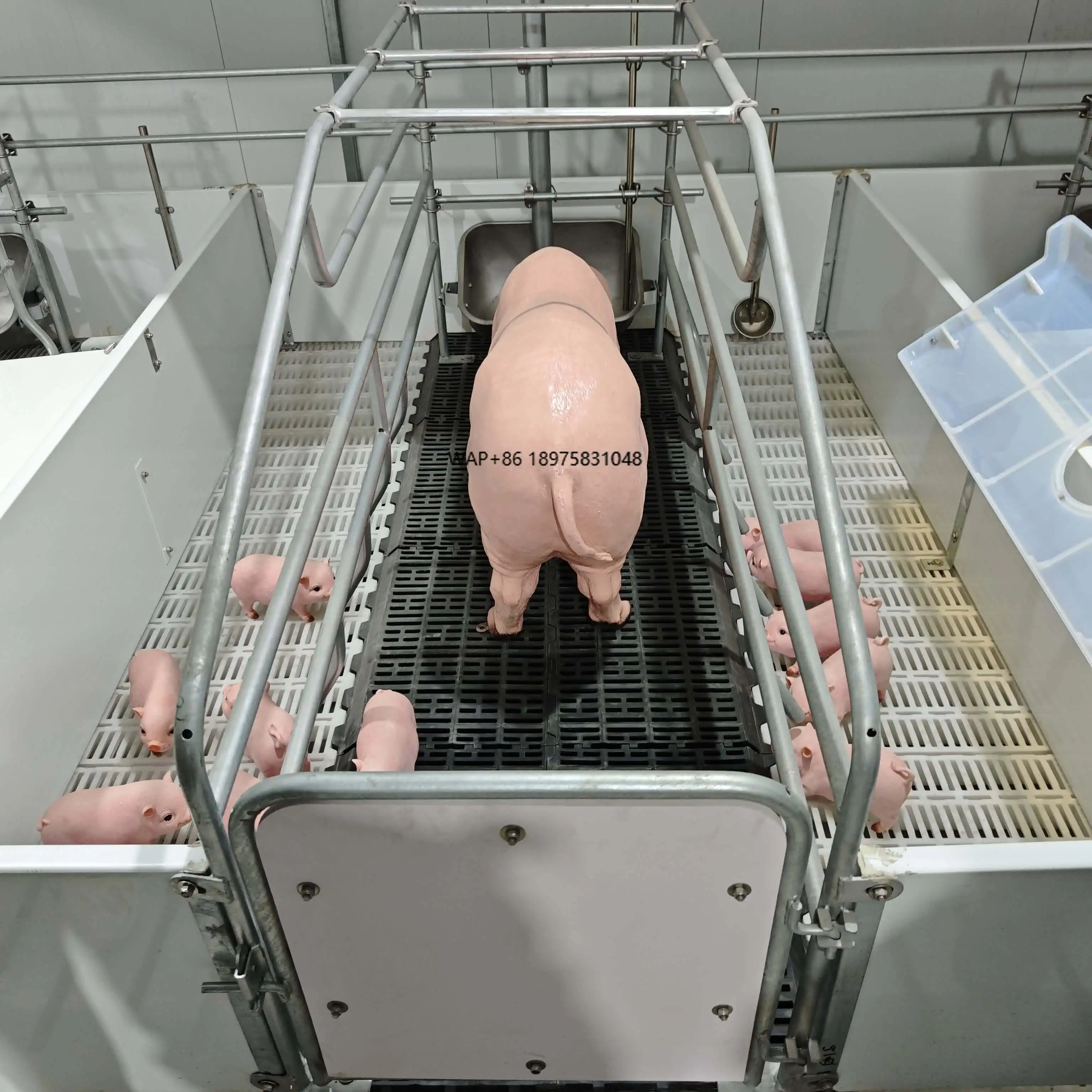 of hot-dip galvanized livestock equipment pig farm breeding equipment sow farrowing pens, for breeding centers
of hot-dip galvanized livestock equipment pig farm breeding equipment sow farrowing pens, for breeding centers