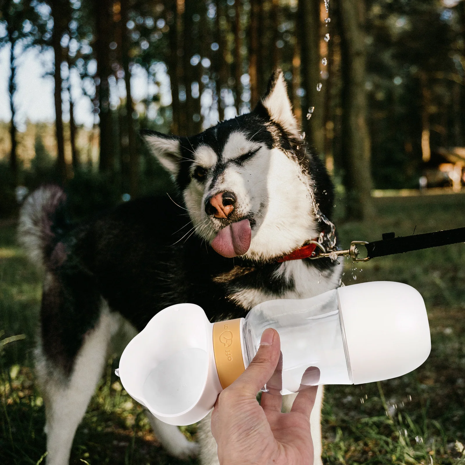Portable Pet Water Dispenser Adorable Cloud Shaped Dog Water Bottle With Food Storage For Small Puppies Cats Rabbits Outdoor Use
Portable Pet Water Dispenser Adorable Cloud Shaped Dog Water Bottle With Food Storage For Small Puppies Cats Rabbits Outdoor Use