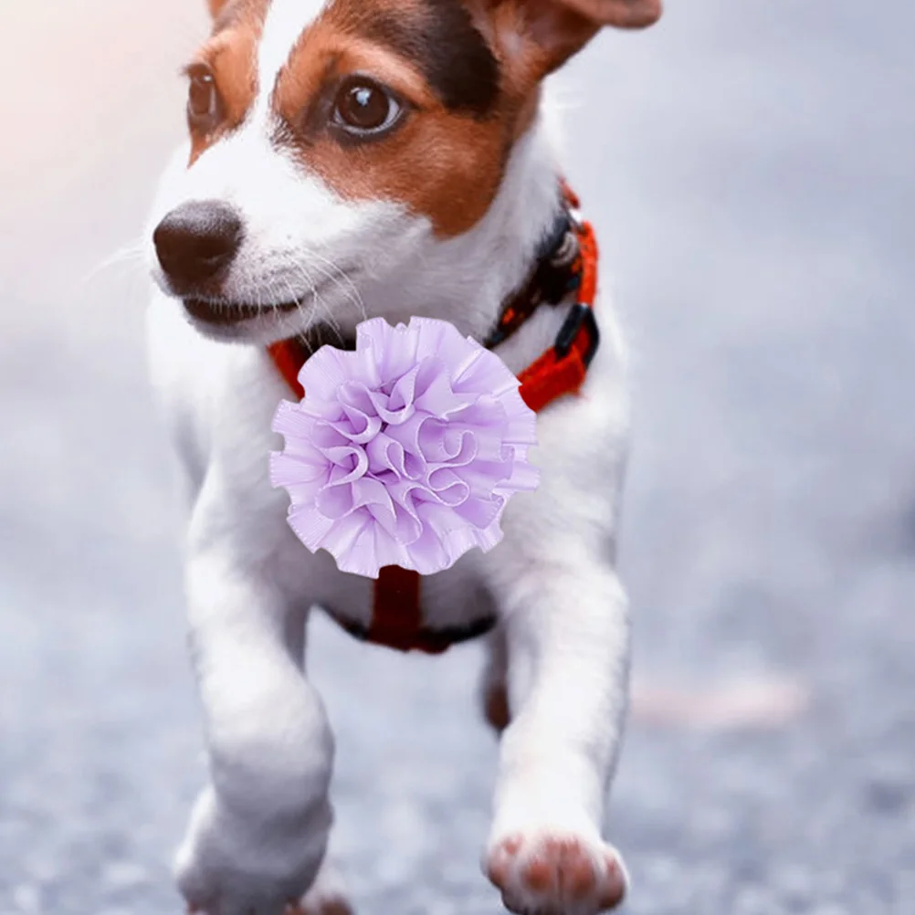 20pcs Pet Collar Flowers Dog Cat Accessories Bright Colorful Puppy Grooming Decorations for Birthday Halloween Christmas Party
20pcs Pet Collar Flowers Dog Cat Accessories Bright Colorful Puppy Grooming Decorations for Birthday Halloween Christmas Party