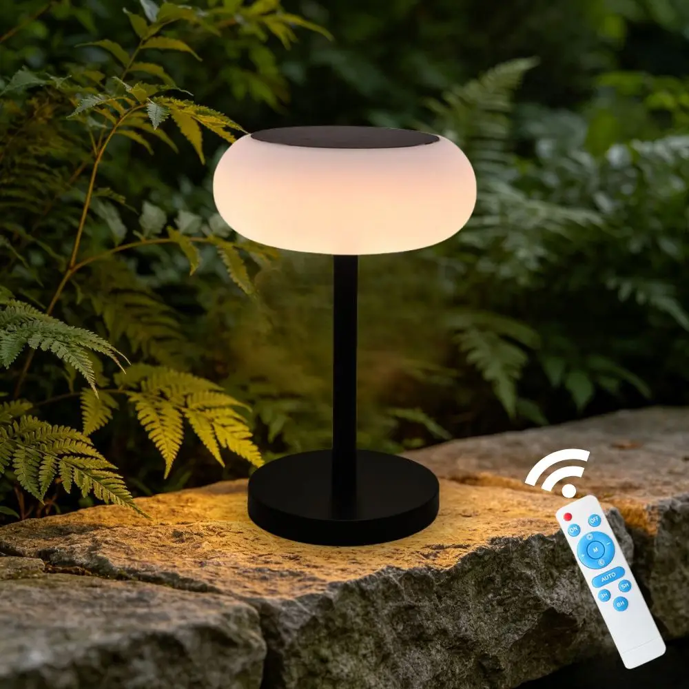 Solar Powered Remote Control Light No Need to Charge Color Changeable Solar Powered Remote Control Lamp
Solar Powered Remote Control Light No Need to Charge Color Changeable Solar Powered Remote Control Lamp