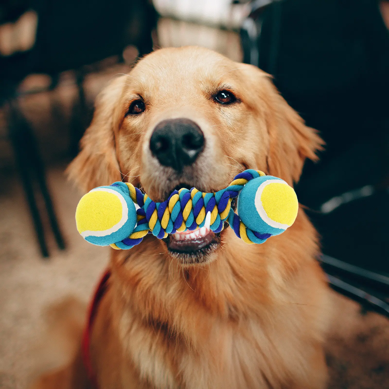 Heavy Duty Rope Ball Dog For Large Dogs Interactive Chew For Teething Puppies Pet For Outdoor Training And Play
Heavy Duty Rope Ball Dog For Large Dogs Interactive Chew For Teething Puppies Pet For Outdoor Training And Play