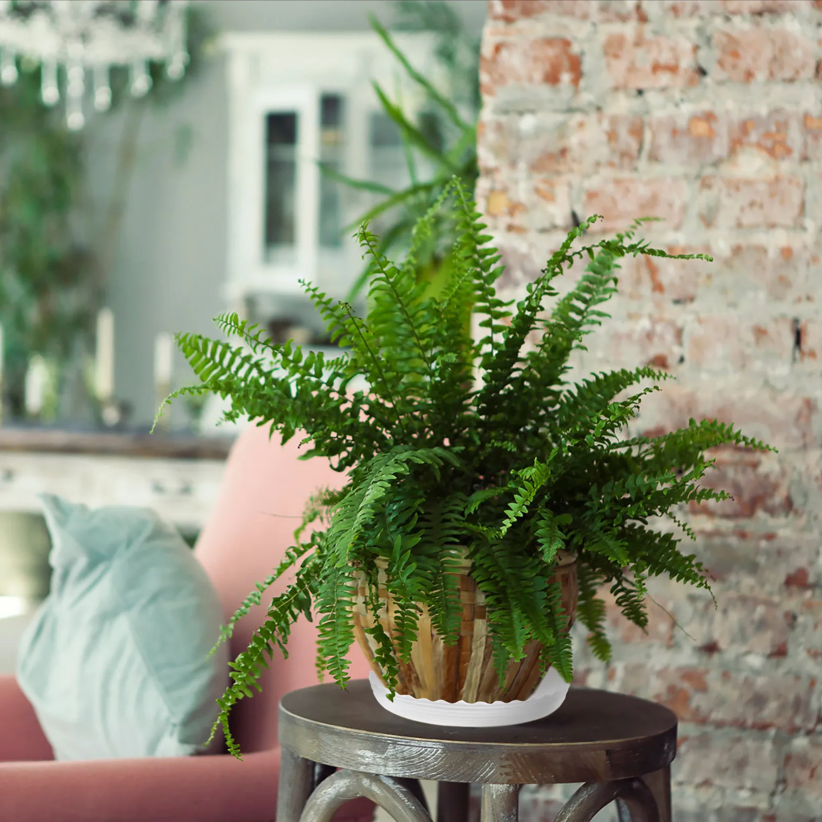 25Pcs Long Life Plastic Flowerpot Bottom Trays Prevent Water Soil Staining Indoor Balcony Plant Pots Plates Flowerpot Tray
25Pcs Long Life Plastic Flowerpot Bottom Trays Prevent Water Soil Staining Indoor Balcony Plant Pots Plates Flowerpot Tray