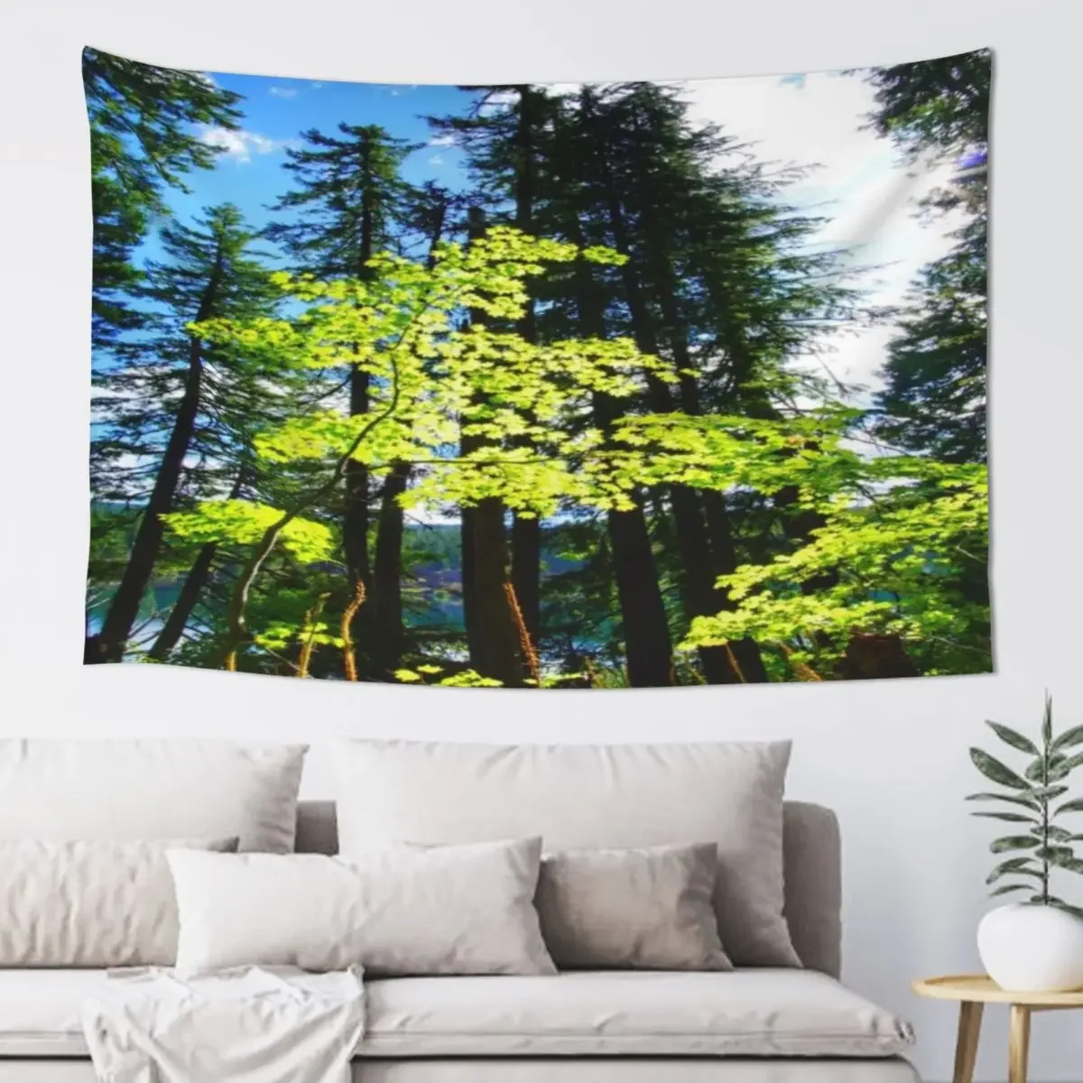 Lost in the Trees Tapestry Bedrooms Decorations Kawaii Room Decor House Decoration Room Decoration Accessories Tapestry
Lost in the Trees Tapestry Bedrooms Decorations Kawaii Room Decor House Decoration Room Decoration Accessories Tapestry