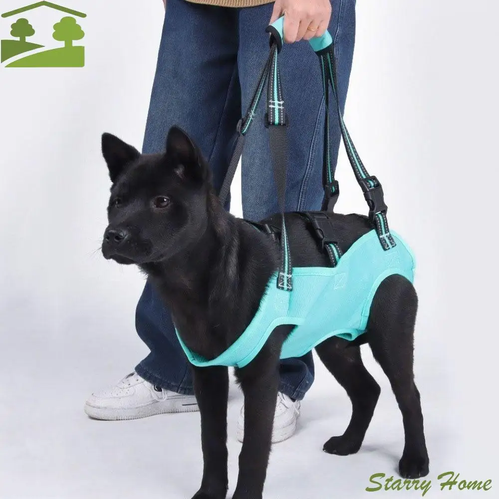 Adjustable Strap Dog Lift Harness Thicken Handle Legs Support Dog Sling Carrier Portable Soft Lining Pet Lifting Vest
Adjustable Strap Dog Lift Harness Thicken Handle Legs Support Dog Sling Carrier Portable Soft Lining Pet Lifting Vest