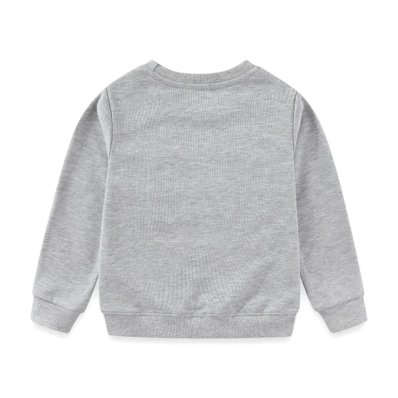 Boys' Autumn Sweatshirt New Cartoon Pattern Crew Neck Long Sleeve Base Layer Children's Sweatshirt
Boys' Autumn Sweatshirt New Cartoon Pattern Crew Neck Long Sleeve Base Layer Children's Sweatshirt