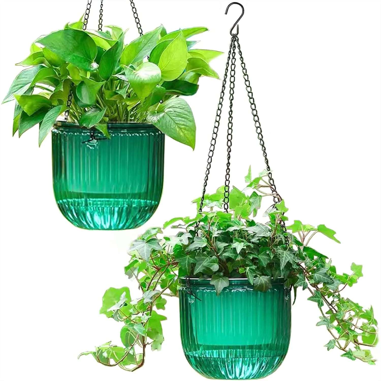 Self Watering Hanging Planters for Indoor Outdoor, 6.5 Inch Plant Hanger with Drainage Holes
Self Watering Hanging Planters for Indoor Outdoor, 6.5 Inch Plant Hanger with Drainage Holes