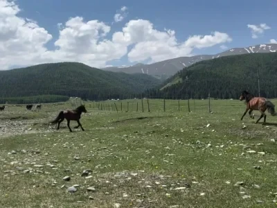 Axisflying AZ2807 1350KV Brushless Motor for 7inch FPV Freestyle Drone Accessories RC
Axisflying AZ2807 1350KV Brushless Motor for 7inch FPV Freestyle Drone Accessories RC