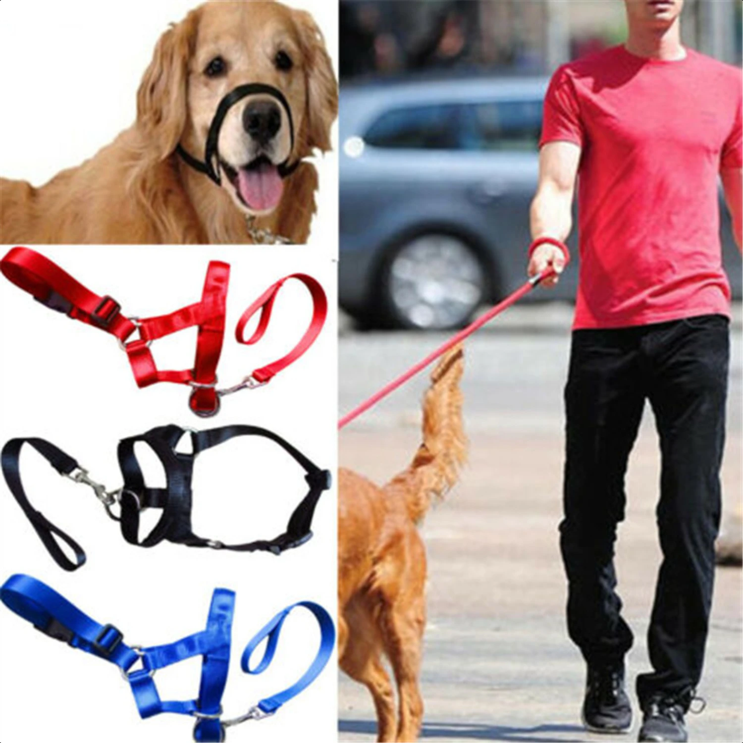 ort and security. Great for obedience training, agility training, and behavioral correction. Top quality materials and craftsman
ort and security. Great for obedience training, agility training, and behavioral correction. Top quality materials and craftsman