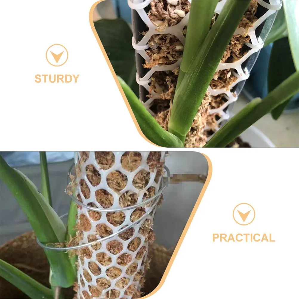 1 set 1 Set Moss Pole Kit Plant Climbing Net Garden Support Trellis Mesh For Vine Vegetables Fruits Flowers Gardening Supplies
1 set 1 Set Moss Pole Kit Plant Climbing Net Garden Support Trellis Mesh For Vine Vegetables Fruits Flowers Gardening Supplies