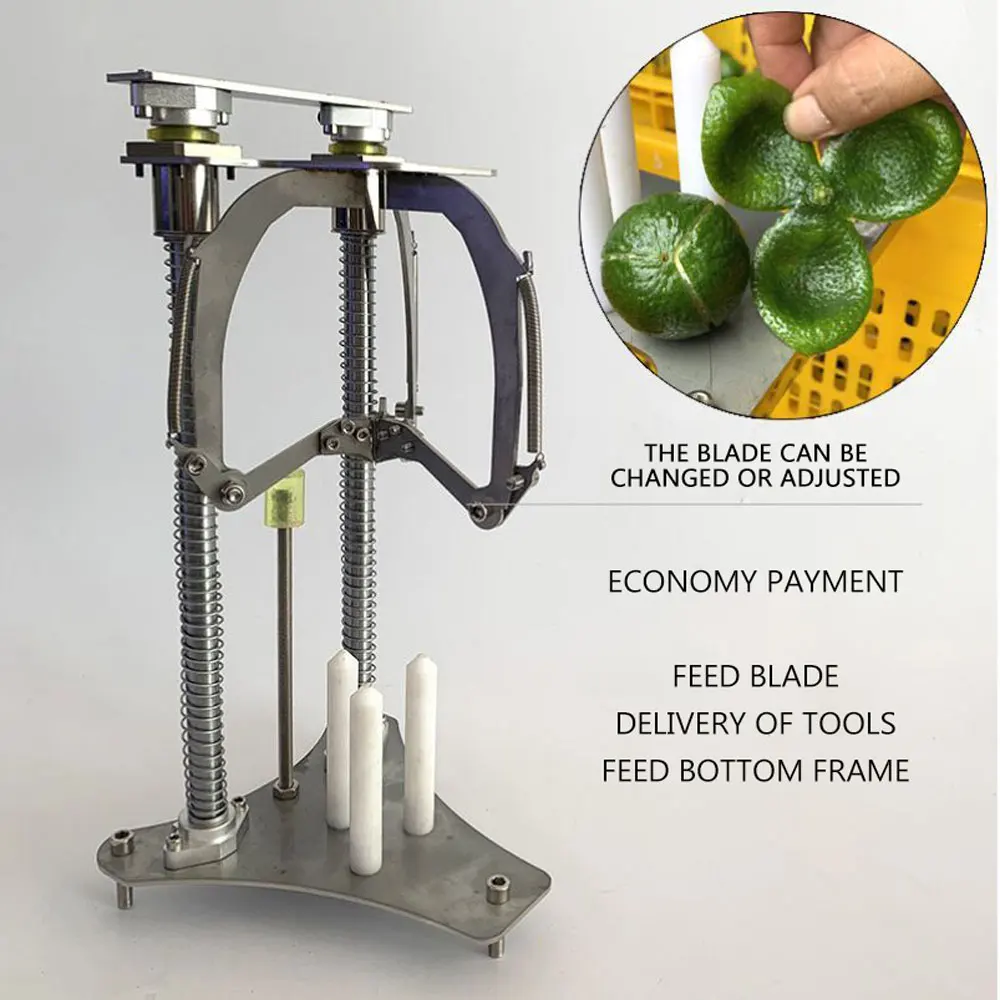 Orange Peeling Machine Automatic and Manual Orange Peeling Machine Peeling Machine Orange Peeling Machine
Orange Peeling Machine Automatic and Manual Orange Peeling Machine Peeling Machine Orange Peeling Machine