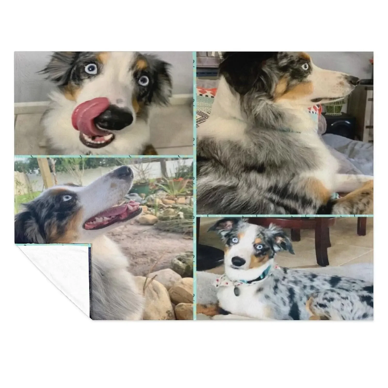 Australian Shepard Dog Throw Blanket anime Furrys Personalized Gift christmas gifts Blankets
Australian Shepard Dog Throw Blanket anime Furrys Personalized Gift christmas gifts Blankets