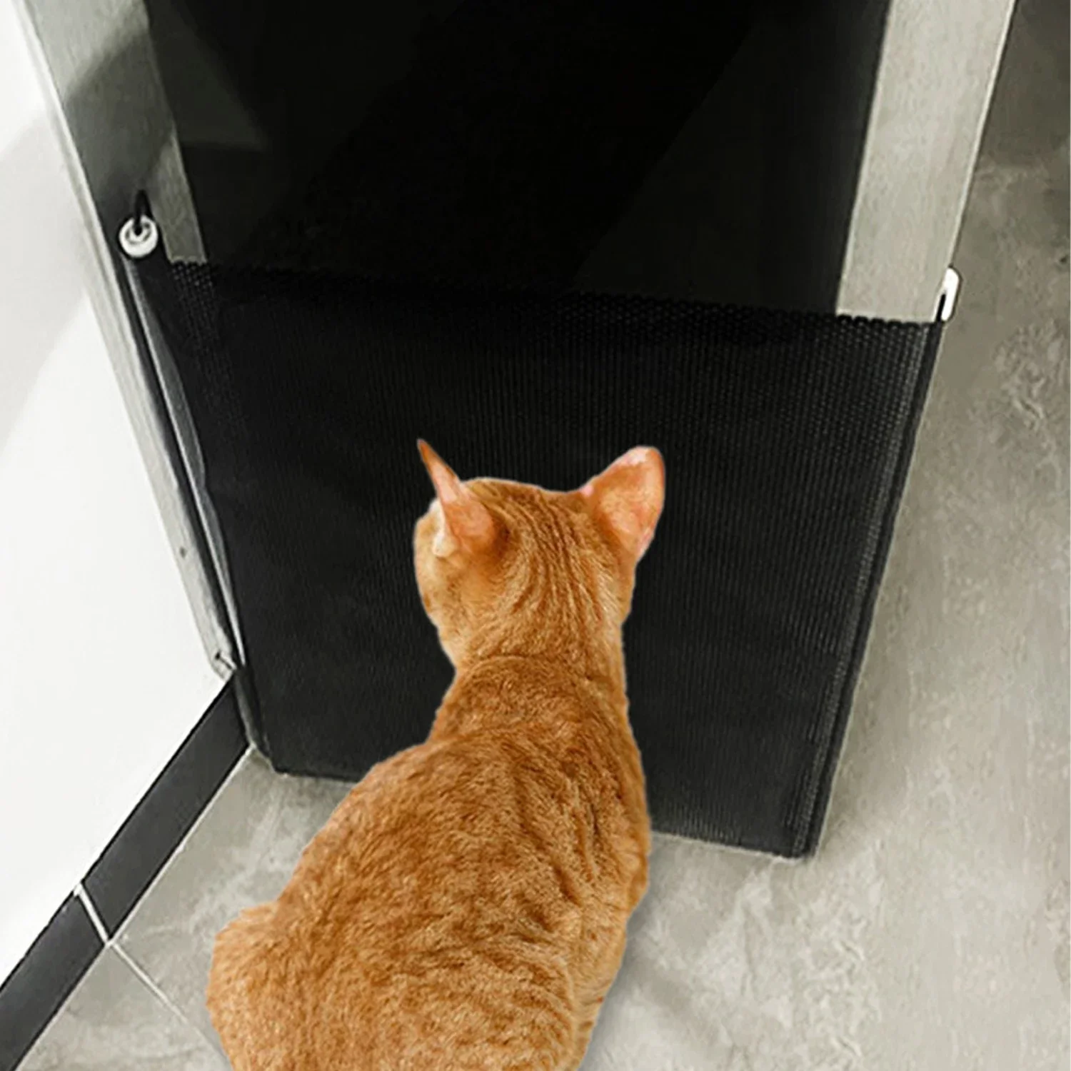 Dog Doors, Dog Isolation Nets, Cat and Dog Safety Fences, Non Perforated Pet Supplies for Home Pet Manage Puppies & Kittens
Dog Doors, Dog Isolation Nets, Cat and Dog Safety Fences, Non Perforated Pet Supplies for Home Pet Manage Puppies & Kittens