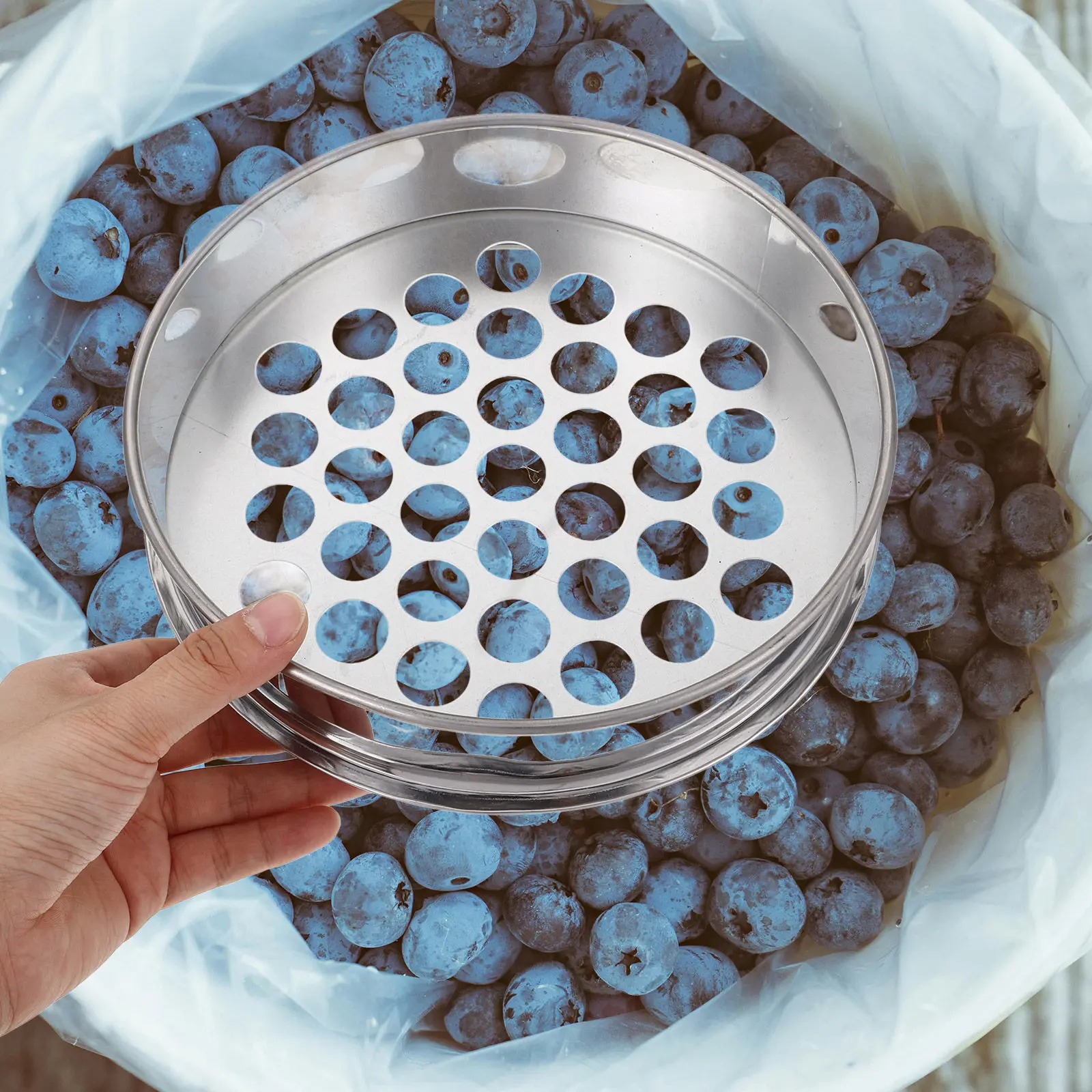 Blueberry Sieve Stainless Steel Round Hole Sifter Multi-Purpose Household Food Sieve for Grading Sorting Cleaning Easy to Store
Blueberry Sieve Stainless Steel Round Hole Sifter Multi-Purpose Household Food Sieve for Grading Sorting Cleaning Easy to Store