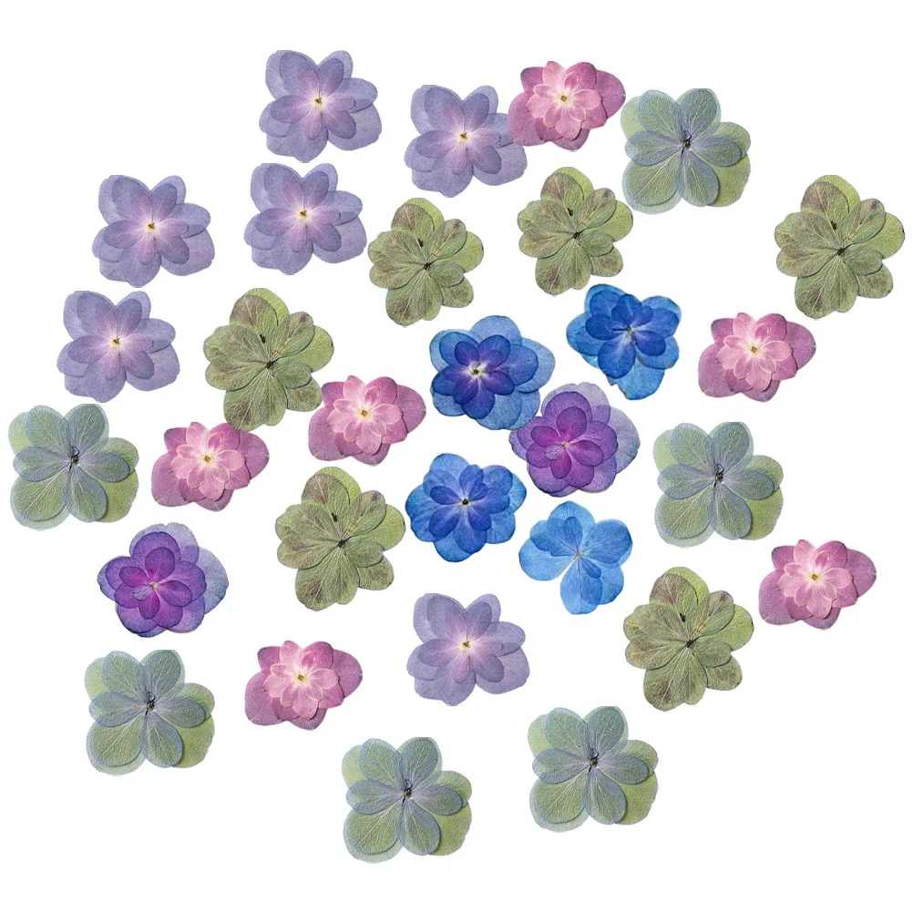 30pcs Double Peony Dried Pressed Flowers Embossing Craft Material For Resin Diy Jewelry Making Bulk Small Multicolored Real
30pcs Double Peony Dried Pressed Flowers Embossing Craft Material For Resin Diy Jewelry Making Bulk Small Multicolored Real