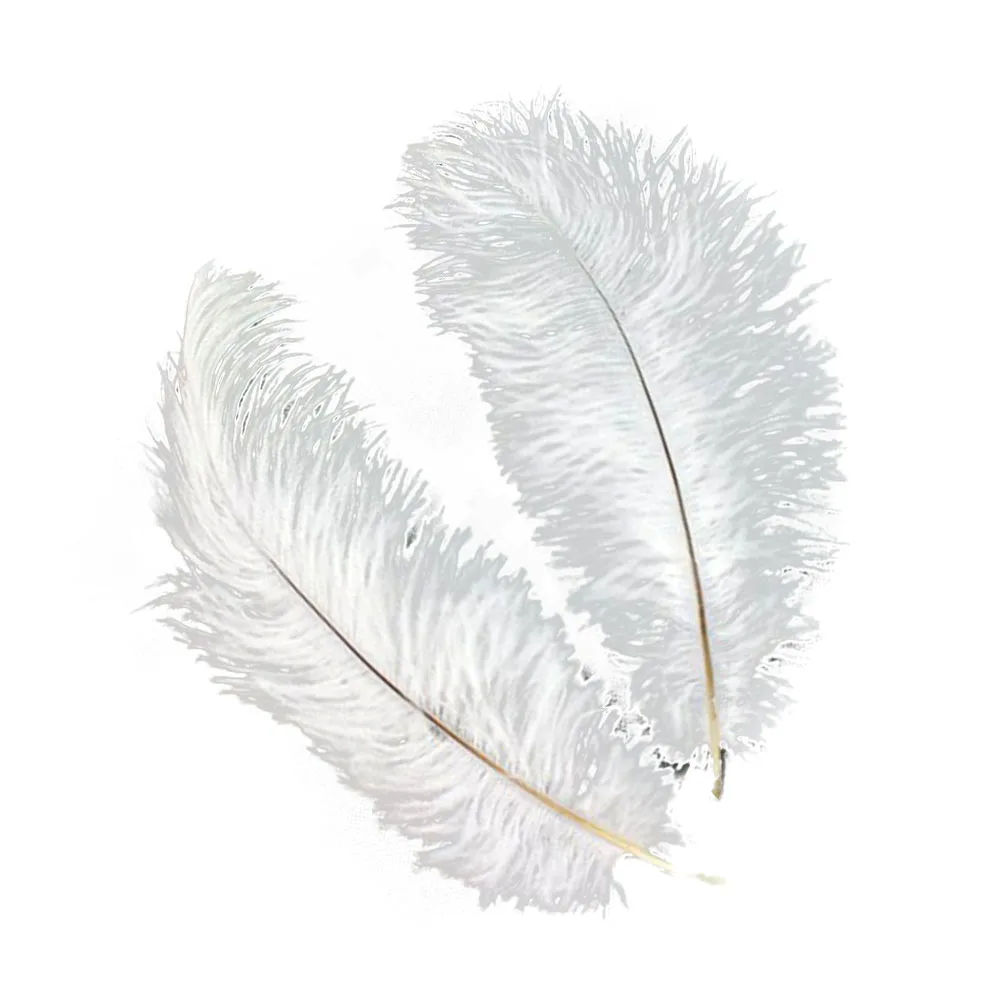 20pcs Natural Ostrich Decorative Trim Craft Party Costume Home Wedding Decorations Artificial Ornament
20pcs Natural Ostrich Decorative Trim Craft Party Costume Home Wedding Decorations Artificial Ornament
